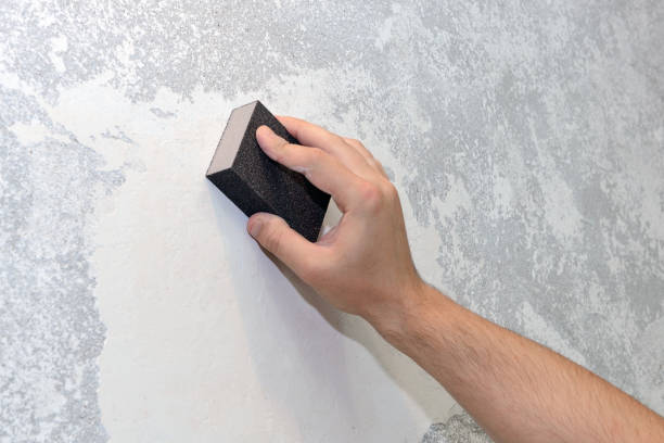 Best Basement Mold Removal  in Harrison, NJ