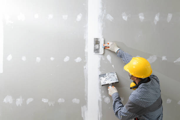 Harrison, NJ Mold Removal Company