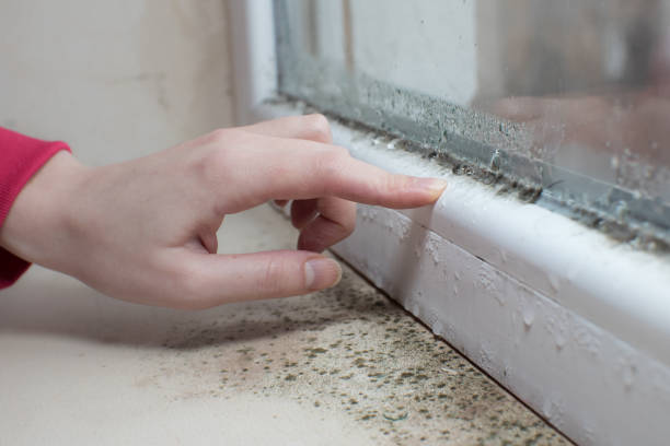 Best Post-Remediation Verification Testing  in Harrison, NJ