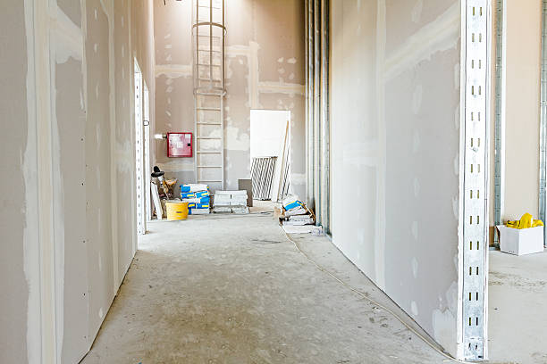 Best Post-Construction Mold Inspection  in Harrison, NJ